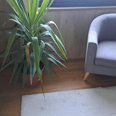 Hotel וולדיביה מראה חיצוני תמונה